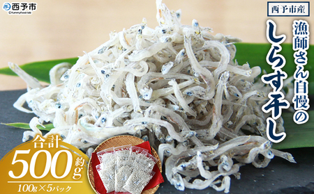 ＜漁師さん自慢のしらす干し 500g(100g×5パック)＞ シラス 魚介類 さかな 海産物 海鮮 海の幸 小分け 国産 ご飯のお供 丼 おつまみ 晩酌 おかず おやつ 特産品 産地直送 濱田水産 愛媛県 西予市 【冷凍】『1か月以内に順次出荷予定』AHS0009