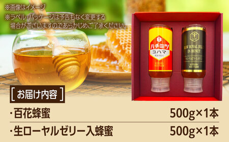 蜂蜜 コハマのハチミツ 500g 2本セット   BCAQ004