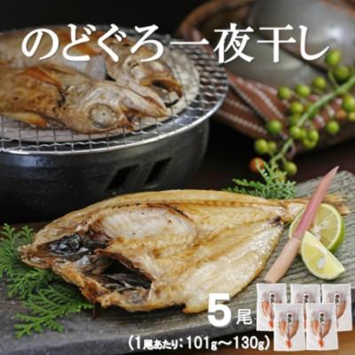 ふるさと納税 大田市 脂の乗り良し!のどぐろ一夜干し　5尾(1尾あたり101〜130g)　N50KF