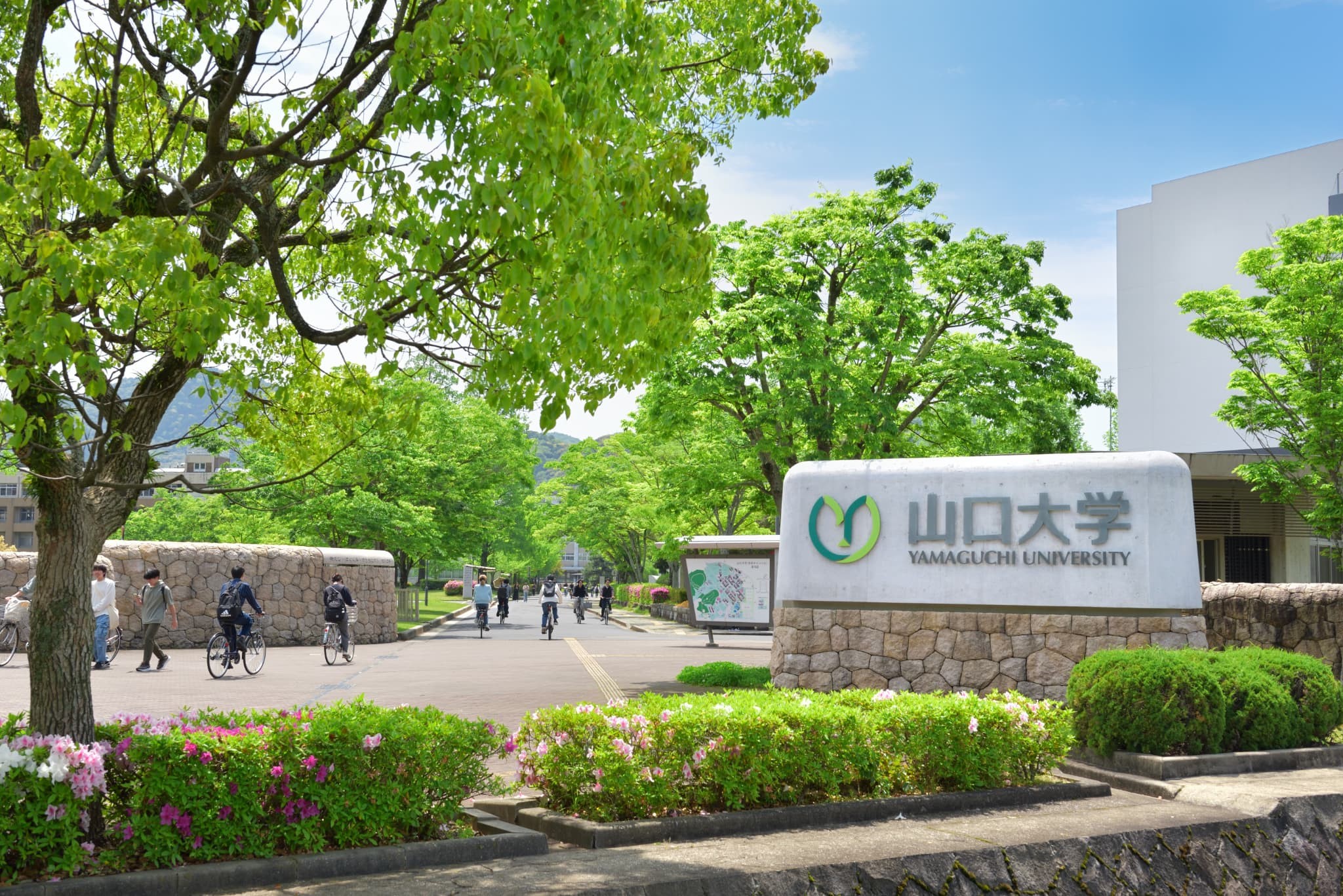 
                  K017 【返礼品なし】山口大学支援事業（教育研究・人材育成・地域貢献活動への支援） | 山口県山口市 学生応援
                