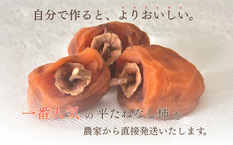 甘さが違う！とっても甘くなる生渋柿（平たねなし柿）吊るし柿用 T字枝or吊るしクリップ付 約2.5～3kg 約9～18個 １０月下旬～順次発送）(日付指定不可) -Ted【art040A】