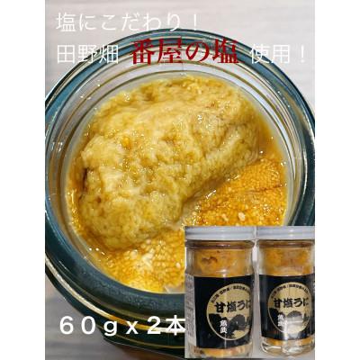 ふるさと納税 田野畑村 塩にこだわり! 塩うに 2本