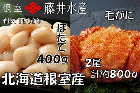 【北海道根室産】お刺身帆立貝柱400g、ボイル毛がに2尾(計約800g) C-42070