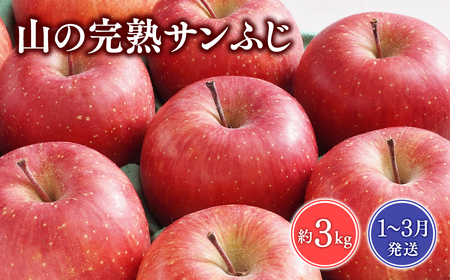 ≪1~2月発送≫山の完熟サンふじ約3kg≪hi-0010-009≫