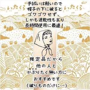 いたくらいいとこてぬぐい（黄色）手ぬぐい お土産 上越市 雑貨 タオル