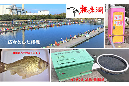 【つり処椎の木湖】 入場券 1枚 ヘラブナ 釣り堀 釣り【へら鮒釣り】