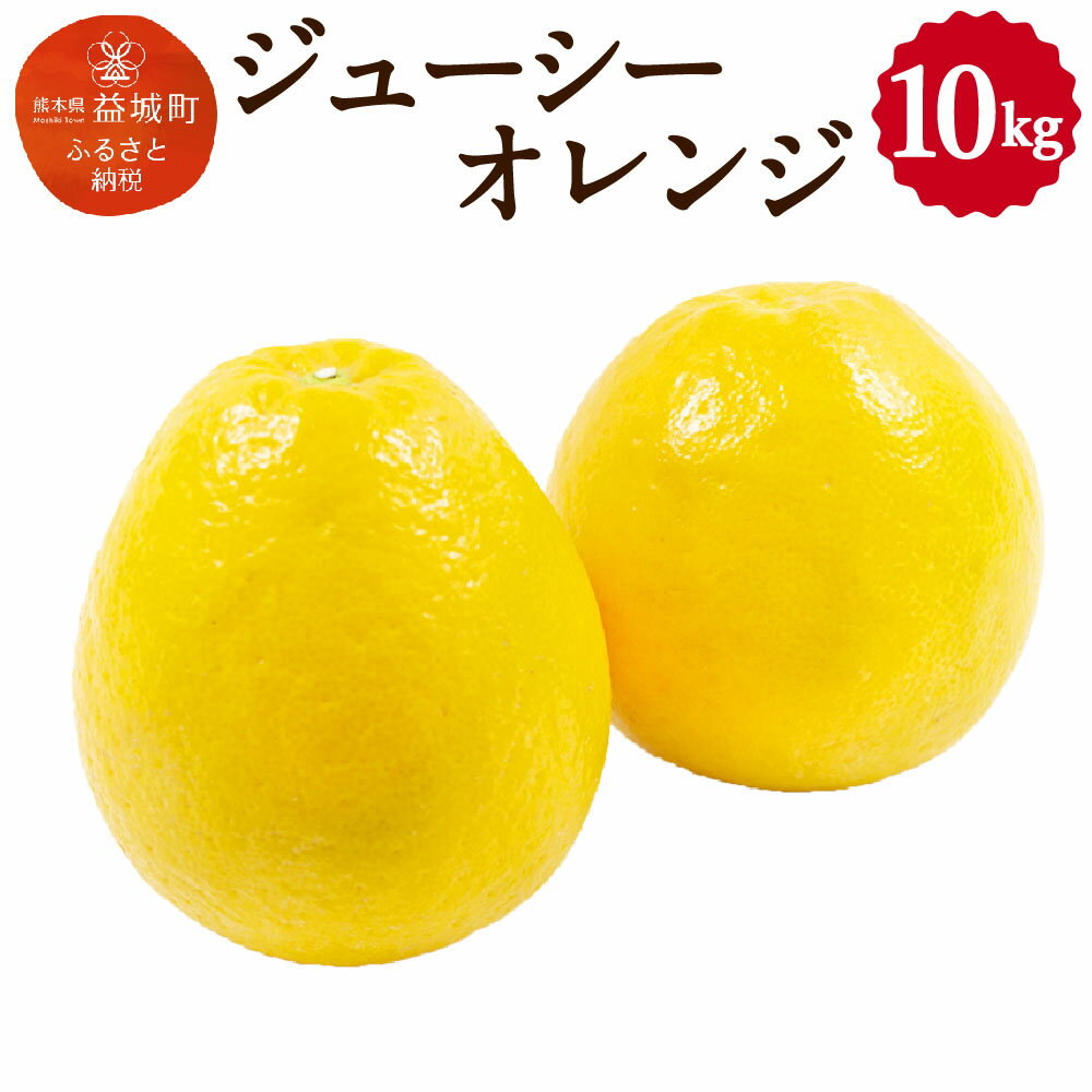 【ふるさと納税】ジューシーオレンジ 約10kg みかん ミカン 柑橘類 晩柑 果物 フルーツ 熊本県産 九州産 送料無料【2026年3月上旬～4月下旬まで発送予定】