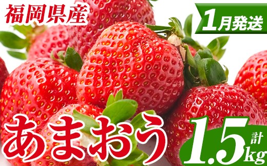 
            ＜先行予約受付中！2026年1月上旬以降順次発送予定＞ 福岡県産 あまおう (計1.5kg・250g×6パック) いちご イチゴ 苺 ストロベリー 果物 フルーツ おやつ デザート スイーツ 福岡県 小分け アマオウ 1月発送 期間限定 数量限定 冷蔵 【エフビーネット】as47-005
          