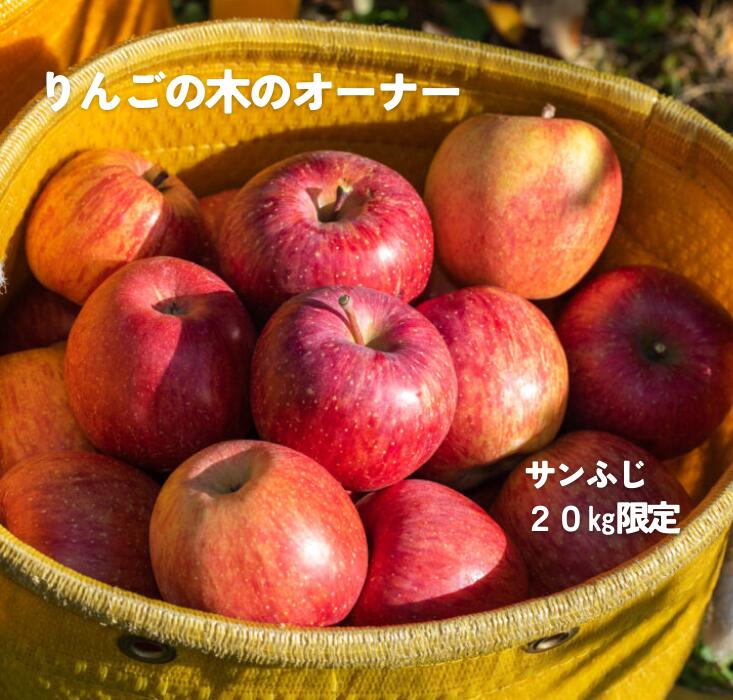 【ふるさと納税】2025りんごの木のオーナー20キロ限定 ふじ オーナー 長野県 南信州