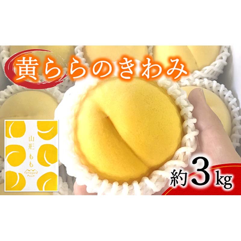 【ふるさと納税】 【令和8年産先行予約】 黄桃 「黄ららのきわみ」 約3kg (9～12玉 秀) 《令和8年9月中旬～発送》 『南陽中央青果市場』 桃 もも 果物 フルーツ デザート 山形県 南陽市 [1045]