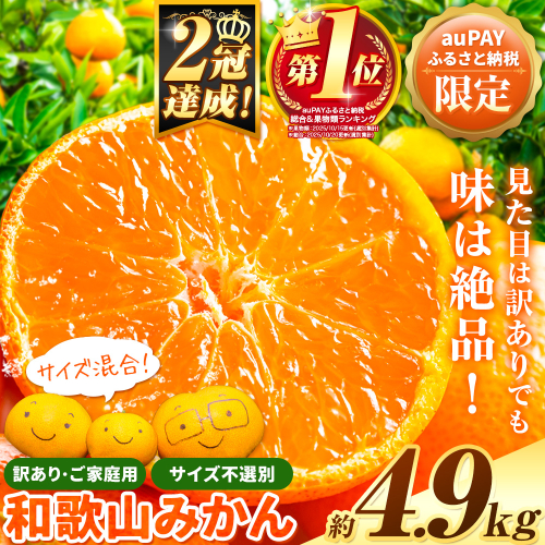 【auPAYふるさと納税限定】総合ランキング１位!!!  訳ありみかん (3S～3L) 約4.9kg《11月上旬-12月末頃出荷》和歌山県 日高川町 柑橘類 柑橘 果物 フルーツ ミカン 訳ありみかん 家庭用 お試し みかん