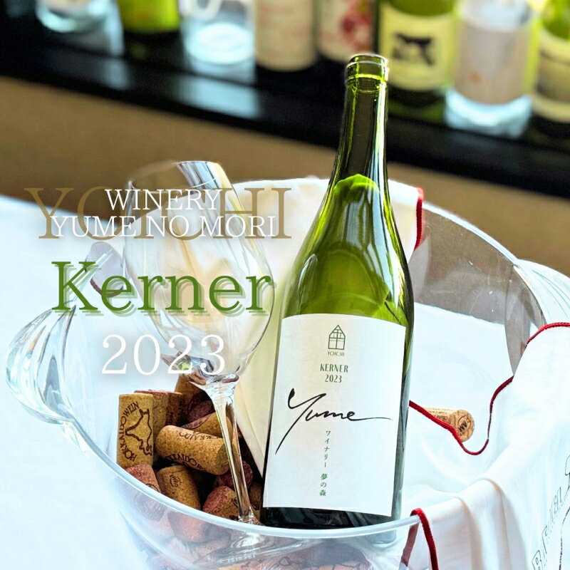 【ふるさと納税】【数量限定】余市「ワイナリー夢の森」ケルナー2023 750ml 北海道産 お取り寄せ 送料無料