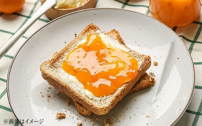 【全6回定期便】 ジャム 田尻完熟あんずジャム (2本)　ジャム 果物 あんず パン 甘い 菓子 朝ごはん 広島県福山市/有限会社勉強堂 [BAFL013]