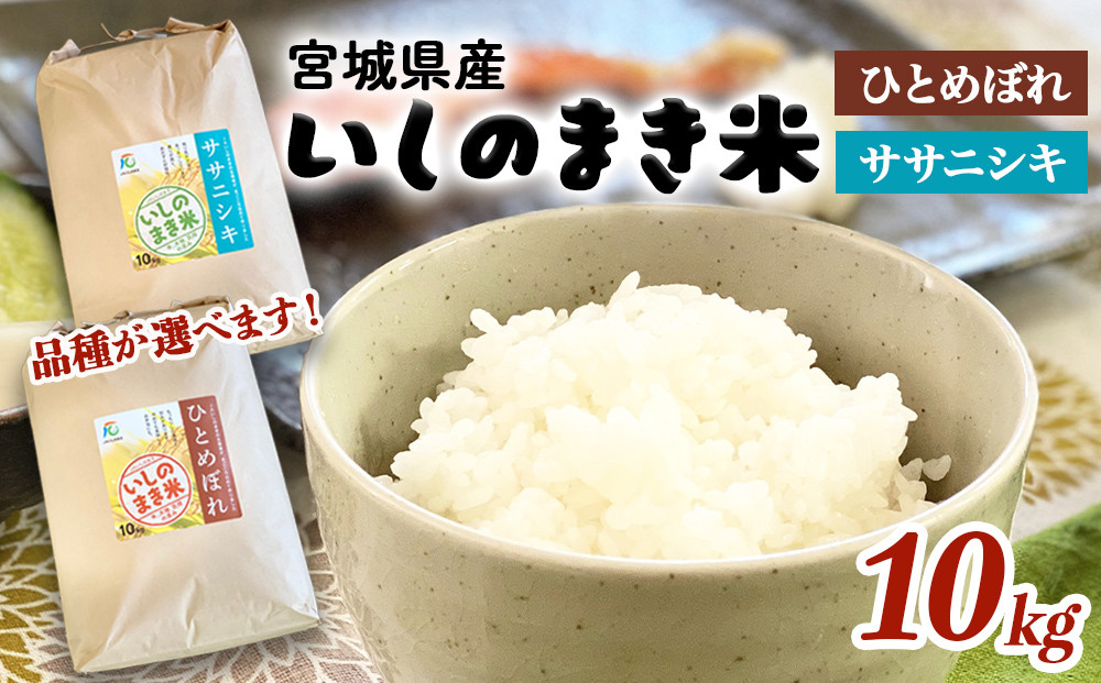 
宮城県産 令和5年産 ササニシキ / ひとめぼれ 精米 10kg 品種が選べる 石巻市 いしのまき米 白米 お米 ごはん 米10キロ JA 農協
