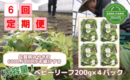 FV010_【6回定期便】大容量ベビーリーフ200ｇ×４セット 有機JAS認証取得
