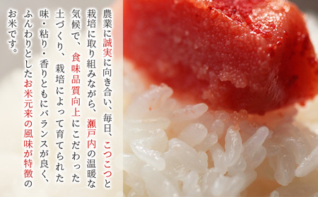お米 【2025年11月～発送予定】 特別栽培米 ひのひかり 10kg×1袋 米 白米 岡山県産 ファーム安井 精米 ライス ご飯 おにぎり お弁当 和食 主食 国産 炭水化物 直送 産地直送 粘り 
