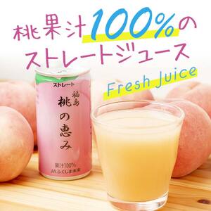 福島県産桃100％ジュース「桃の恵み」10本セット 伊達市 福島県 果汁 100％ 桃ジュース 桃 もも モモ ジュース F20C-959