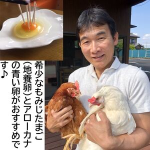 【定期便12か月】 江原ファーム　地養卵＆アローカナハーフセット（計20個）｜卵 たまご タマゴ 生みたて 産みたて 新鮮 濃厚 健康 赤玉 青い卵 産地直送_AG27
