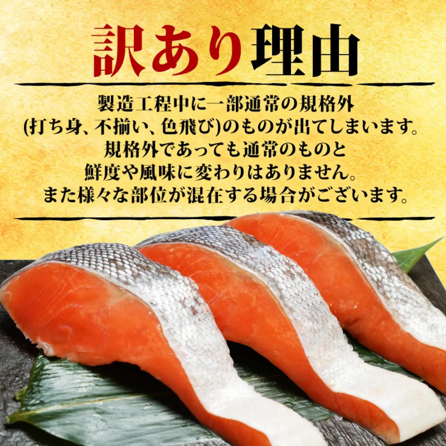  訳あり 銀鮭 2.4kg 鮭 