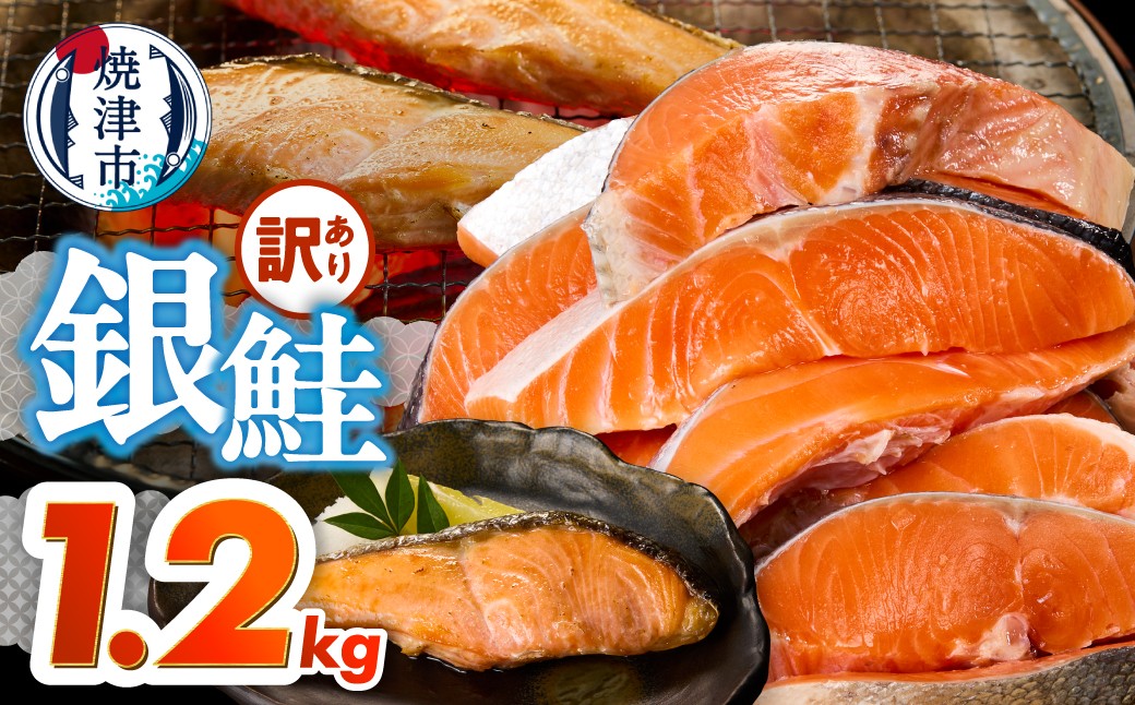 
                  a10-1309　訳あり！ 銀鮭 切身 約1.2kg 便利なジッパーバック入り
                