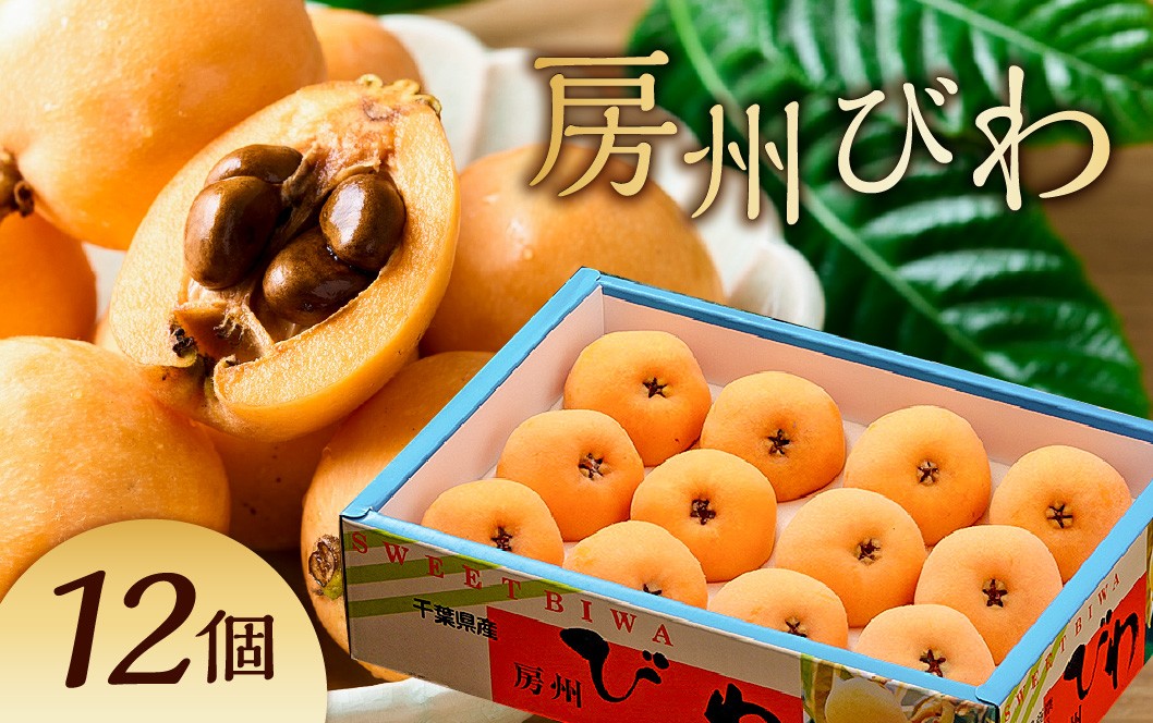 
                  【5月31日決済完了まで受付】房州びわ(露地)12粒入2Lサイズ以上1箱 mi0010-0010 【 びわ フルーツ 旬 季節 果物 瑞々しい お取り寄せ グルメ 】
                