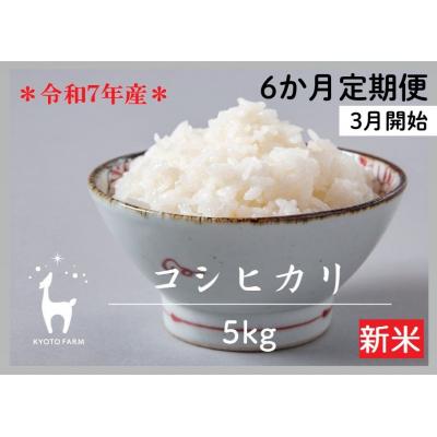 ふるさと納税 京都市 〈6か月定期便〉令和7年産コシヒカリ 精米5kg(2026年3月〜8月)