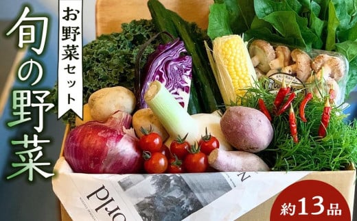 
野菜セット 旬の野菜 (約13品)
