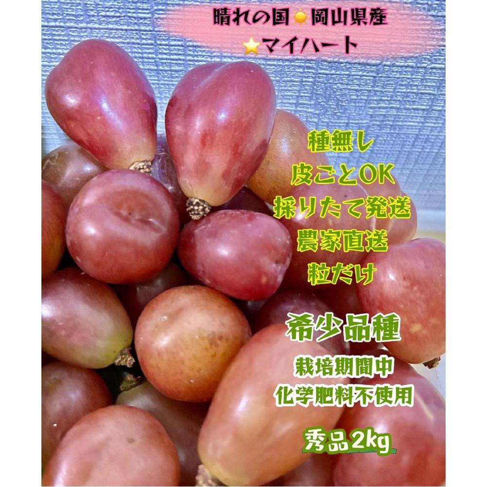 【ふるさと納税】ぶどう 2026年 マイハート 秀品 粒だけ 約2kg 岡山 国産 果物 フルーツ 2026年8月中旬から発送 | フルーツ 果物 くだもの 食品 人気 おすすめ 送料無料
