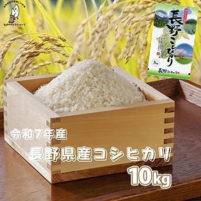 ふるさと納税 千曲市 令和7年長野県産 こしひかり 白米10キロ