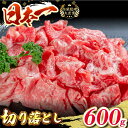 【ふるさと納税】長崎和牛 切り落とし 600g 和牛 牛肉 赤身 すき焼き 霜降り 切り落とし すき焼き しゃぶしゃぶ 切り落とし 東彼杵町/有限会社大川ストアー [BAJ046]