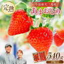 【ふるさと納税】＼甘～い完熟いちご／ 井上苺園　あまおとめ（270g×2パック）【V002540】【配送不可地域：離島】いちご 苺 ストロベリー 完熟 朝採れ 旬 期間限定 しまなみ海道 大三島