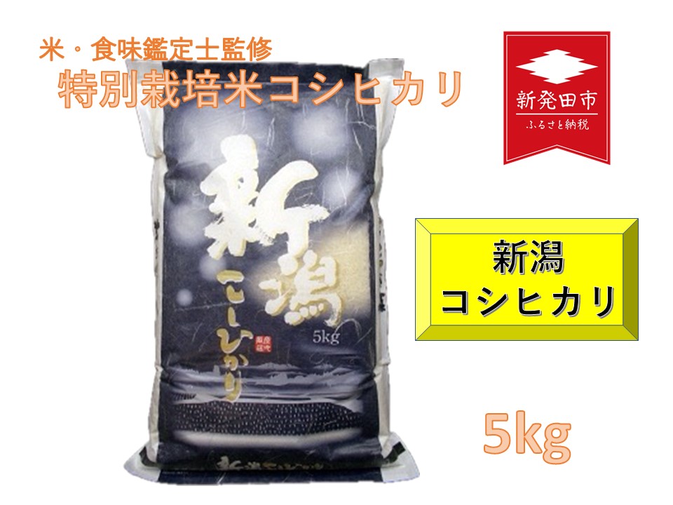 【令和6年産先行予約】 新潟県産コシヒカリ 5kg 特別栽培米コシヒカリ　D71_Y