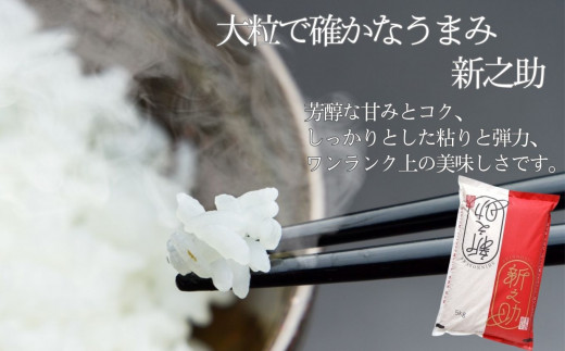 【令和8年産新米】新潟県産 新之助 5kg×12回 60kg 糸魚川産 白米 2026年産 木島米穀店【米 お米 ご飯 ライス ふるさと納税米 ブランド米 しんのすけ 食品 おすすめ 人気 新潟県 糸