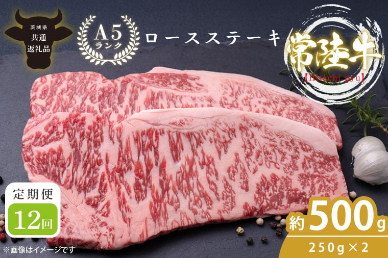 
            【12回定期便】最高級A4.A5ランク 常陸牛ロースステーキ500ｇ（250ｇ×2）×12回【人気肉 お肉 牛肉 和牛 黒毛和牛 国産黒毛和牛 ロース肉 ステーキ 国産牛 焼肉 焼き肉 バーベキュー BBQ A5 ブランド牛】(CR009)
          