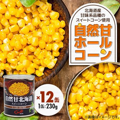 ふるさと納税 伊達市 【北海道の契約農家で栽培】自然甘 ホールコーン　230g×12缶　とうもろこし