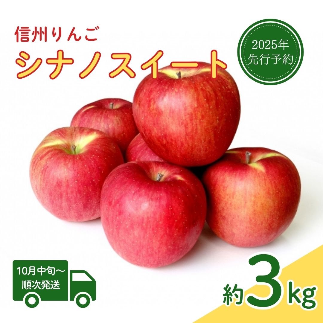 【ふるさと納税】 【2025年先行予約】【10月中旬頃~発送予定】シナノスイート 約3kg りんご フルーツ 果物 長野県 千曲市 信州
