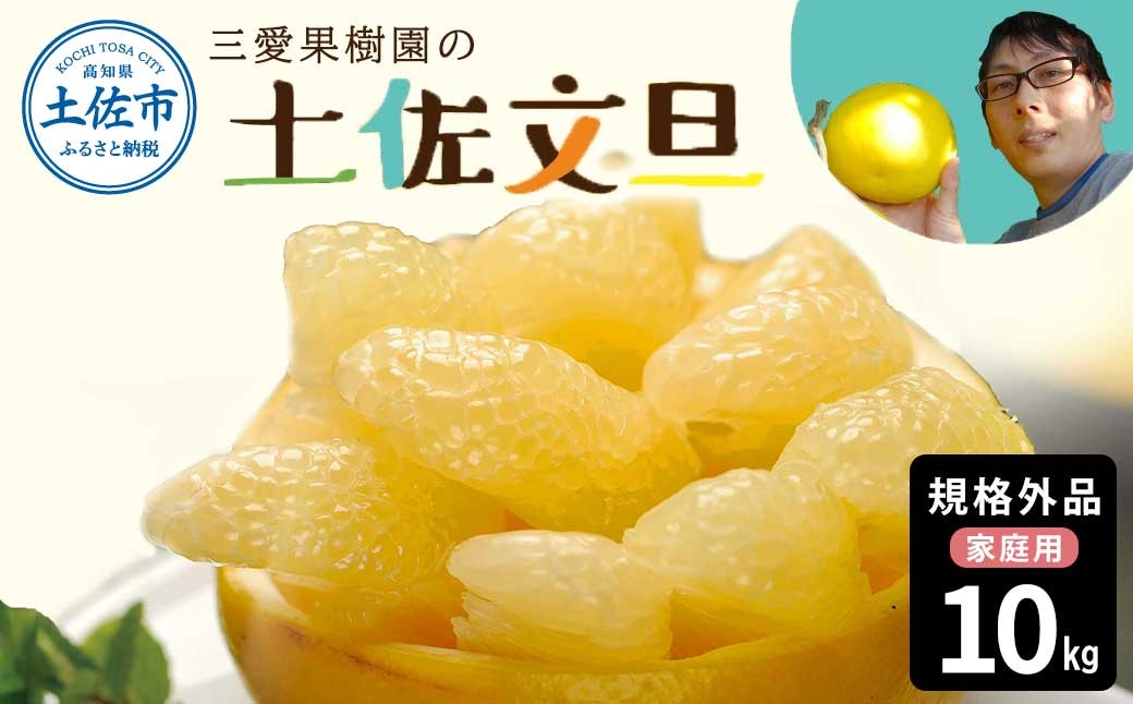 
                  【先行予約】　文旦 約10kg 10キロ L～4Lサイズ〈2027年2月上旬から順次発送〉 土佐文旦 みかん 柑橘 ぶんたん ブンタン 果物 フルーツ デザート おやつ 三愛果樹園の土佐文旦 おいしい 美味しい【三愛果樹園】[BQAO013] [BQAO013]
                