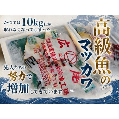 ふるさと納税 広尾町 【幻の魚】マツカワの昆布締め　300g(0137) |  | 01
