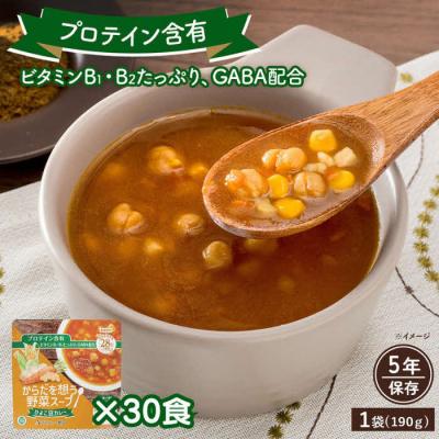 ふるさと納税 出雲市 【からだを想う野菜スープ】ひよこ豆カレー30食セット/レトルト/食物アレルギー対応/長期保存/防災食