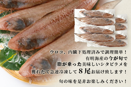 【ふるなび限定】【下処理済で簡単調理】有明海産 シタビラメ約150g×8尾【合計約1.2kg】煮つけ・唐揚げにおススメ【脂ののって美味しい】鮮度抜群 D-178 FN-Limited