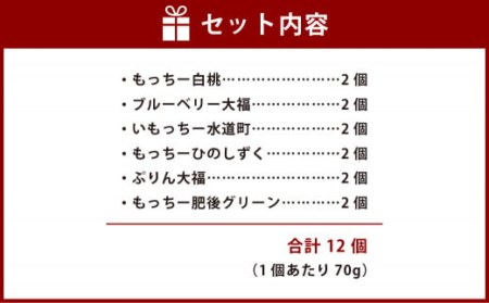 もっちー大福 詰め合わせ 12個入（6種×各2個）大福 和菓子