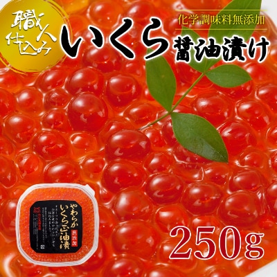 【2025年秋発送】【化学調味料無添加・職人仕込み】イクラしょうゆ漬け　250g_00583【配送不可地域：離島】【1156889】