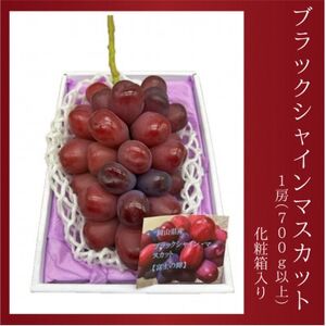 岡山県産　ブラックシャインマスカット 1房(700g以上)　化粧箱入り【配送不可地域：離島・北海道・沖縄県】【1631141】