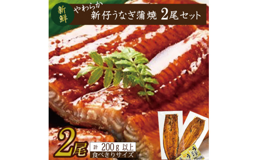 やわらか国内産うなぎ蒲焼き！ 食べ切りサイズ100～120g 2尾　計200g以上|うなぎ 鰻 蒲焼 食べ切り 茨城県 行方市(AD-106-1)