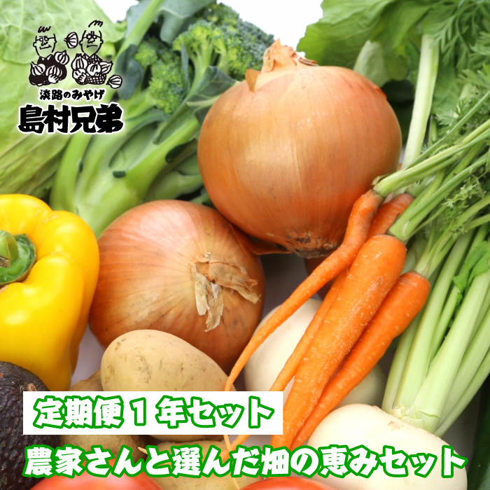 【定期便１年セット】農家さんと選んだ畑の恵みセット　