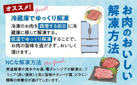 宮崎県産黒毛和牛赤身（ウデまたはモモ）・霜降り焼きしゃぶ500g_Tk031-017