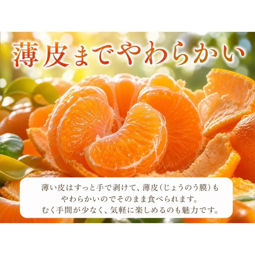 紀州有田産せとか約3kg　とろける食感！ジューシー柑橘［2027年3月上旬以降発送］［先行予約］［UT03］