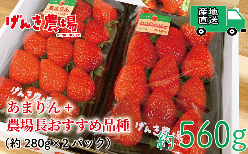 
【予約受付】 いちご あまりん +農場長おすすめ品種 560g (280g×2P) 選べる発送月 苺 食べ比べ イチゴ ストロベリー 産地直送 ご当地 果物 くだもの フルーツ デザート 食品 冷蔵 げんき農場 埼玉県 羽生市
