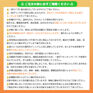 【2027年1月下旬から順次発送】 宮内伊予柑 10kg | 期間限定 期間限定【RNK0083】