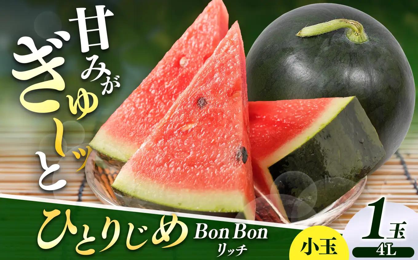 【先行受付】松本市 波田産 小玉すいか ひとりじめBonBonリッチ 4L(2.5㎏～3.2㎏)１玉